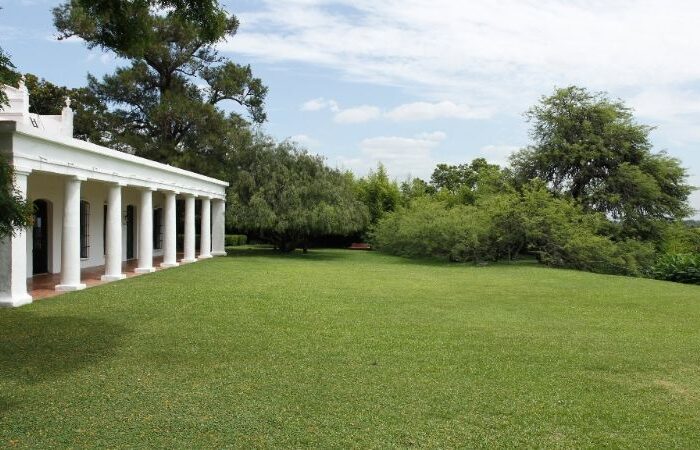 Reparten retoños del histórico algarrobo del Museo Pueyrredón de San Isidro para ser replantados